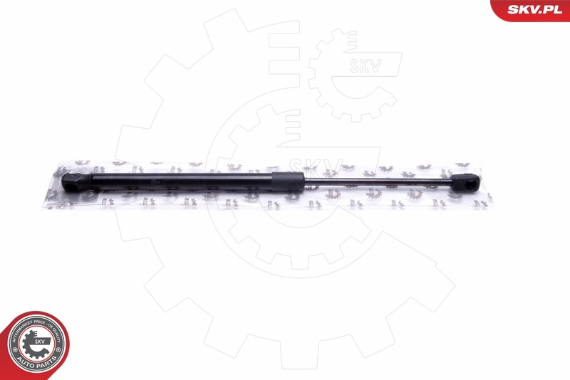 Gas Spring, boot/cargo area